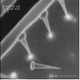 Illustration for article titled Nanometer-Wide PicoToilet, Plus a Gallery of Micrographs
